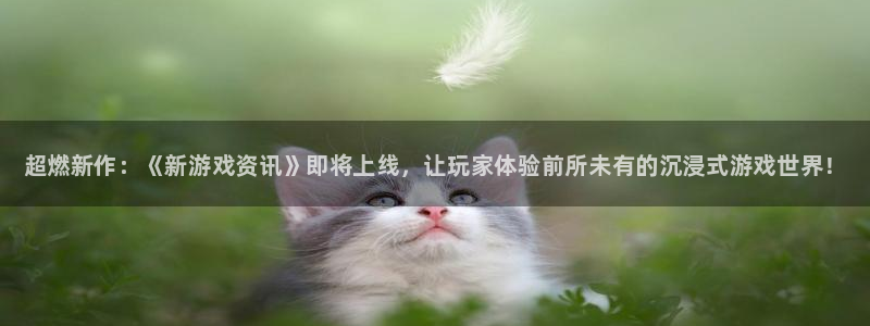 蓝冠娱乐官方登录网址：超燃新作：《新游戏资讯》即将上线，让玩