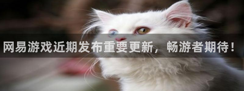 蓝冠娱乐登陆地址：网易游戏近期发布重要更新，畅游者期待！