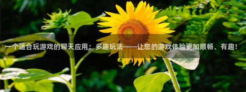 蓝冠娱乐下载：一个适合玩游戏的聊天应用：多趣玩法——让您的游