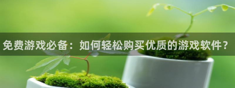 蓝冠娱乐官网:免费游戏必备:如何轻松购买优质的游戏软件?