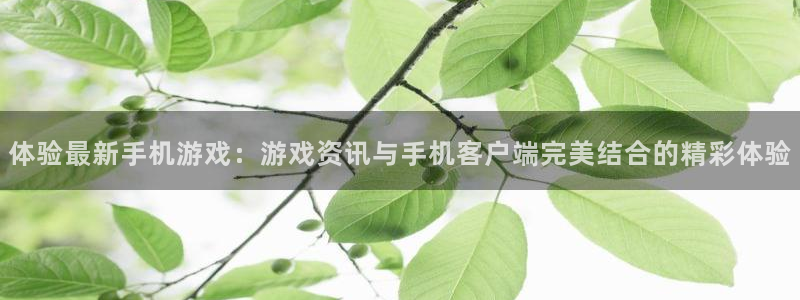 蓝冠官网