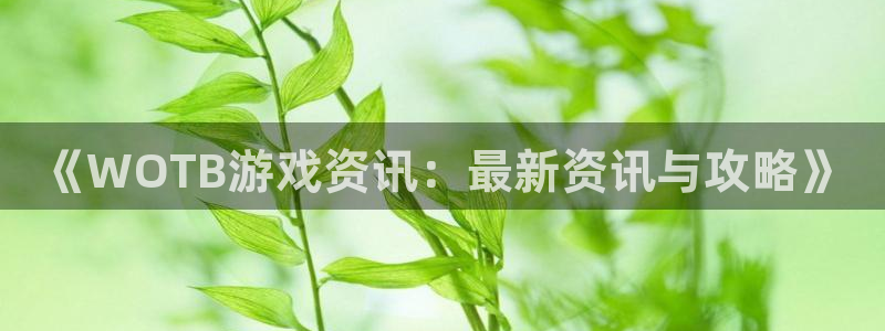 蓝冠电子科技有限公司招聘：《WOTB游戏资讯：最新资讯与攻略
