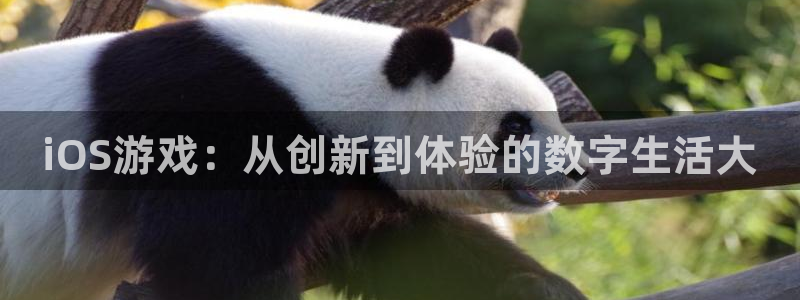 蓝冠电子科技有限公司怎么样啊