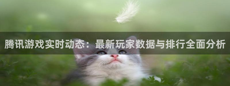蓝冠招商首页app